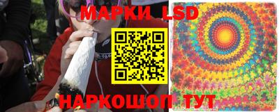 дживик Кимры