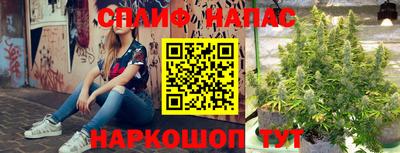 круглые Кингисепп