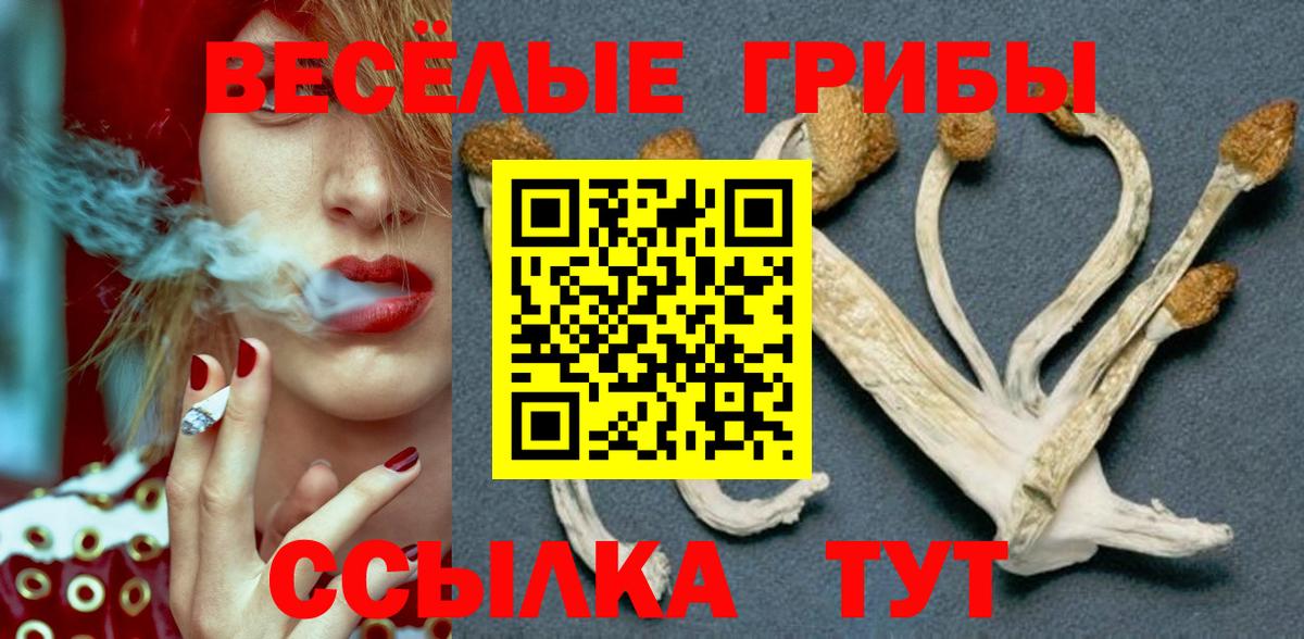 Клин  Псилоцибиновые грибы GOLDEN TEACHER  наркошоп  Вход с VPN  Псилоцибиновые грибы Cubensis 