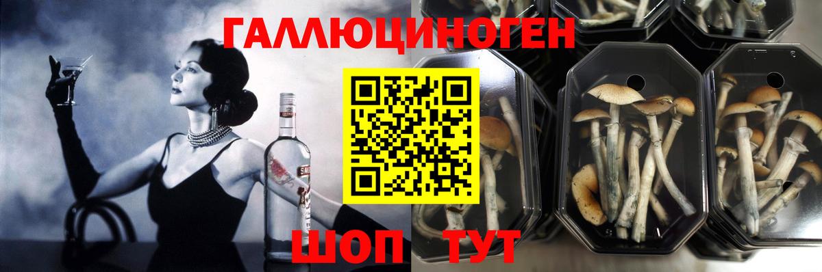 Меф кристаллы  NBOMe  COCAIN  Клин  Вход с VPN  Канабис  ЭКСТАЗИ  Гашиш  LSD-25  МАРИХУАНА  MDMA 