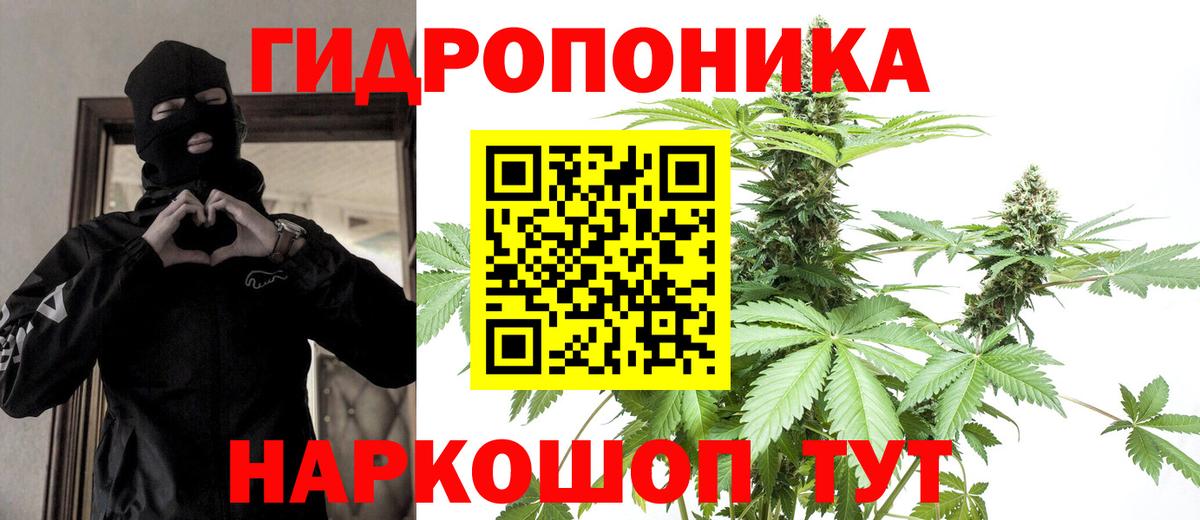 Каннабис MAZAR Клин